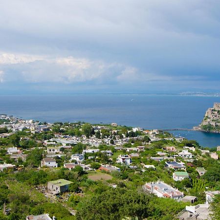 La Capannina - Hotel & Apartments Ischia Ngoại thất bức ảnh
